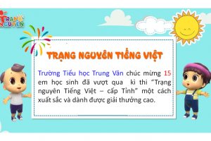 Kết quả thi Trạng Nguyên Tiếng Việt – Cấp Tỉnh năm học 2019-2020