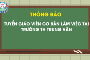 TH TRUNG VĂN – THÔNG BÁO TUYỂN GIÁO VIÊN CƠ BẢN NĂM HỌC 2024-2025